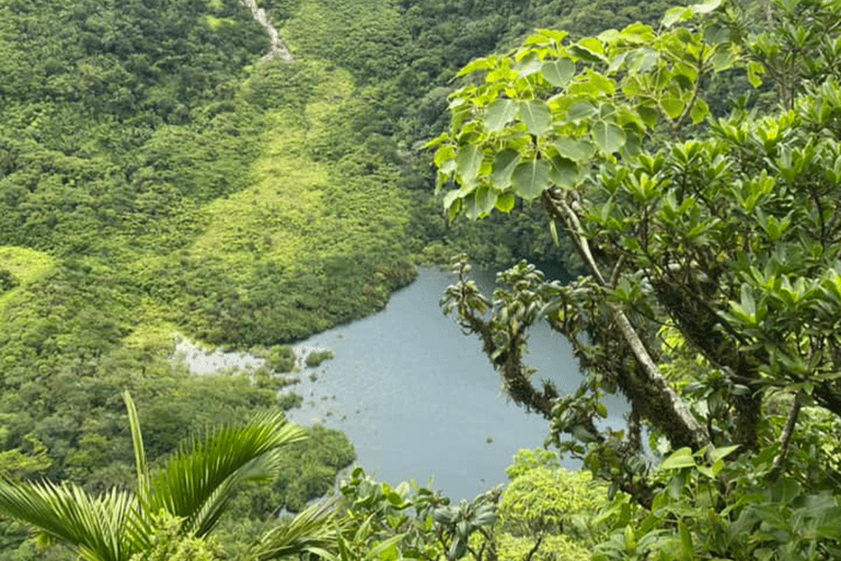 Volcano Hike To Mt. Liamuiga (Highest Peak On Island)