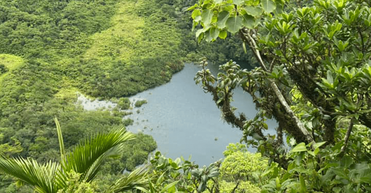 Caminhada pelo vulcão até o Monte Liamuiga (pico mais alto da ilha ...