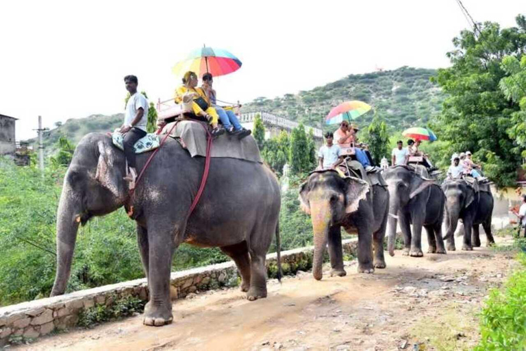 Safari w wiosce Radżastan Jodhpur Bishnoi z autentycznym jedzeniem