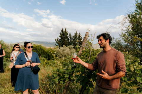 Overnight Tour from Madrid: San Sebastian & Basque Country