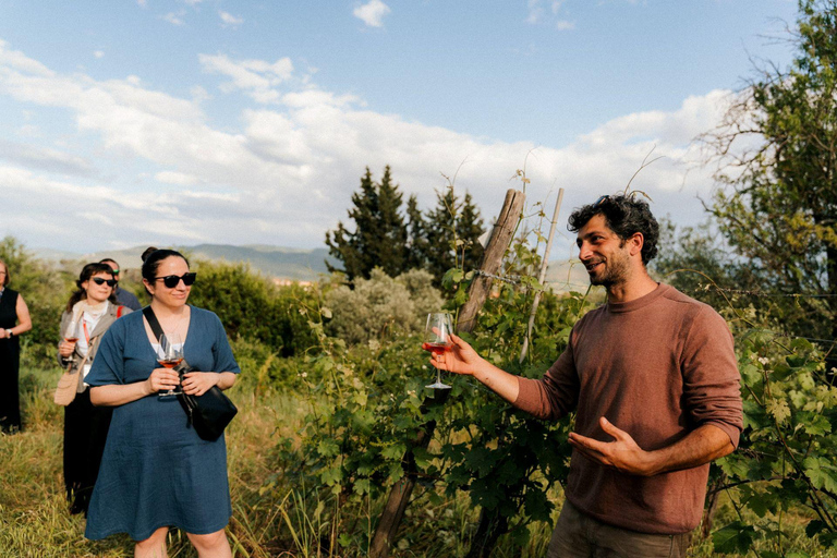 Overnight Tour from Madrid: San Sebastian & Basque Country