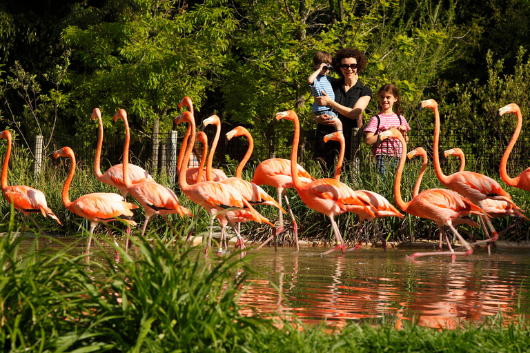 Zoo de Nashville: Ticket de entrada para cualquier díaZoo de Nashville: Entrada sin hacer cola