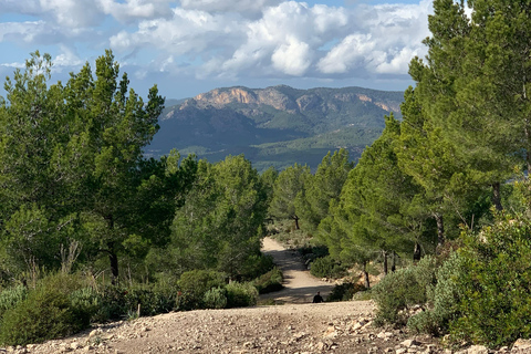 Sierra de Tramuntana hiking experienceSierra de Tramuntana - winter hiking experience