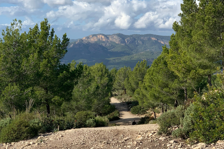 Wędrówki po Sierra de TramuntanaSierra de Tramuntana - zimowa wycieczka piesza