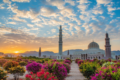 Tour della città di Muscat di notteSalone 1-3 passeggeri