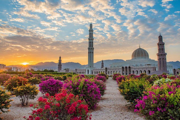 Tour della città di Muscat di notteMini Van 5 - 7 passeggeri