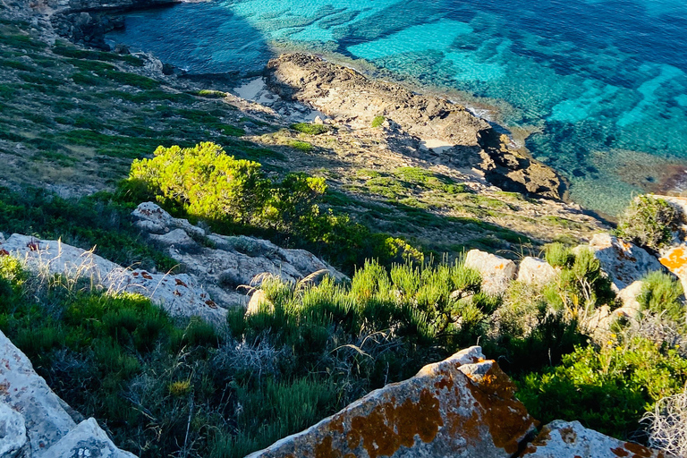 Mallorca: Private Boat Rental. No boat license needed