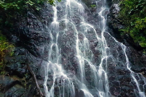 Batumi: Makhuntseti Waterfall, Mountain Views & Local Wine