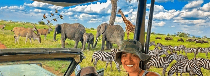 Dar Es Salaam : 1 JOUR DE SAFARI À MIKUMI EN TRAIN SGR ET JEEP OUVERTE
