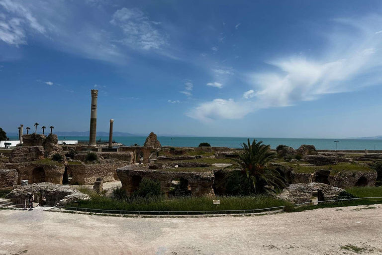 Tunis, Carthage & Bardo Museum: A Journey Through History From Mahdia