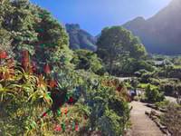 Kapstadt, Robben Island, Kirstenbosch Garden & Weinprobe - Housity