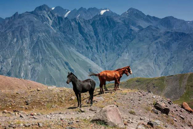 Horse Riding: Private Kazbegi Tour from Tbilisi