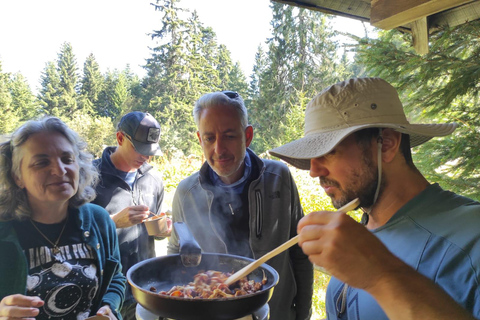 Sofia: Culinary Adventure To The Fungi And Botanical Kingdom