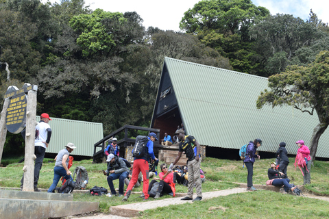 1 Day kilimanjaro short trek