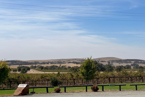 Clare Valley Uncorked: Full-Day Wine Adventure