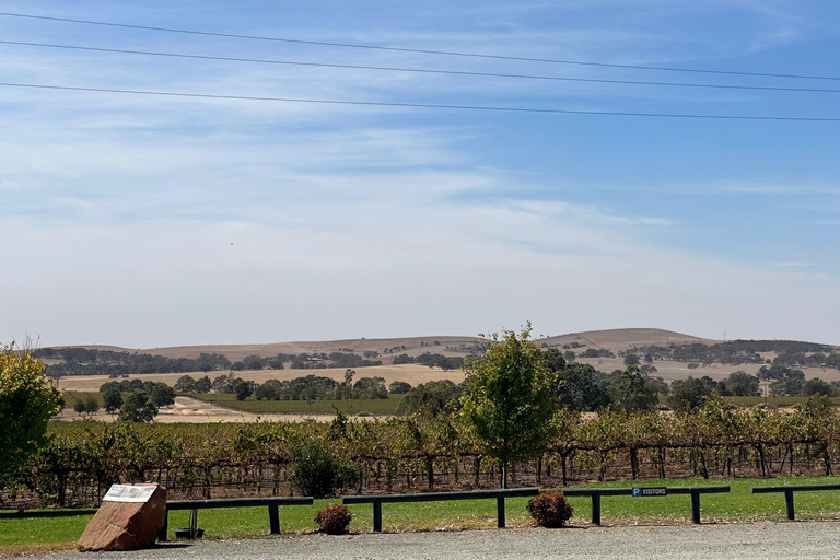 Clare Valley Uncorked: Full-Day Wine Adventure