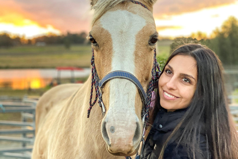 Hunter Valley: Sunset Horse Riding Tour 90min