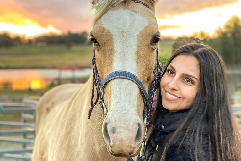 Hunter Valley: Sunset Horse Riding Tour 90min