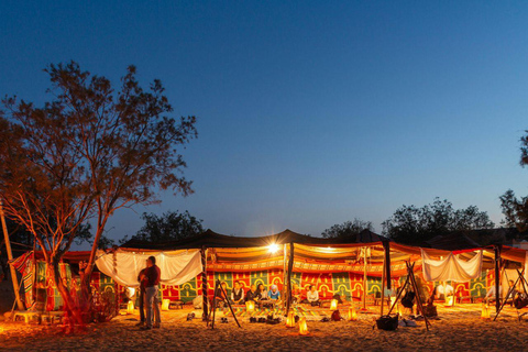 Doha Guided Safari Tour for Families with Traditional Meal