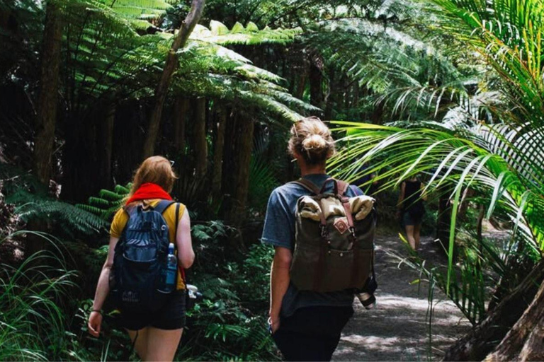Mendihuaca: Pozo Encantado Trek with Meditation & Nature