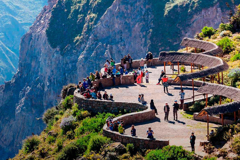 Aanbieding Prijs: Colca Canyon één dag in Arequipa met ontbijt