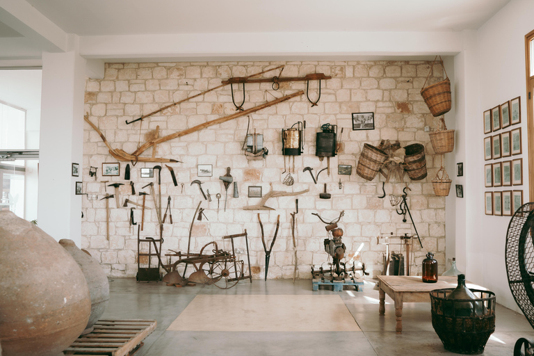 Myths, Waves & Wine: Cyprus in a Day