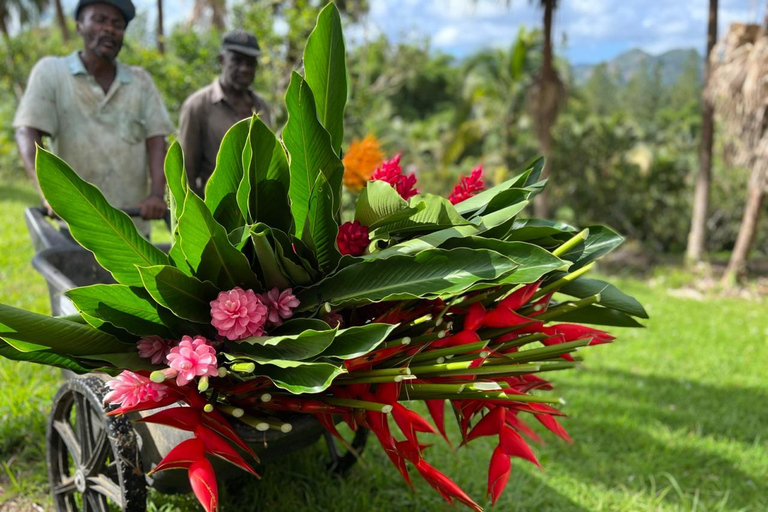 Croydon in the Mountains - Eco Farm Tour with Lunch