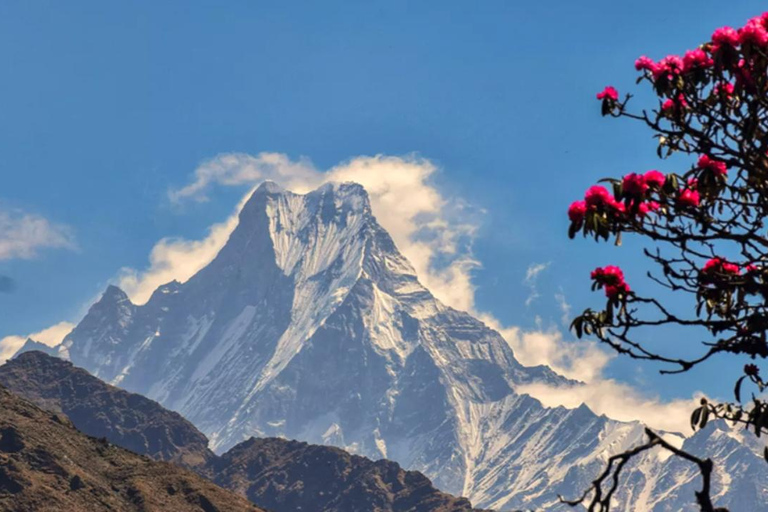 Katmandu: Khopra Ridge Trek z panoramicznymi widokami