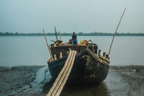Zanzibar: A 1000 Hands Village Tour with Turtle or seaweed