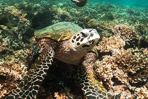 Panama City: 2 Day Coiba and Santa Catalina Tour