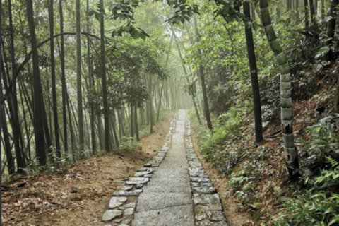 Shanghai: Moganshan Bamboo Hike with 1920s Villas private tour option