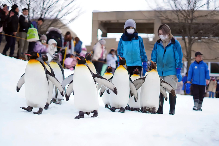 Asahiyama Adventure: Zoo+Waterfalls & Blue Pond Day Tour Meet at Exit 31 of Odori Park Subway Station