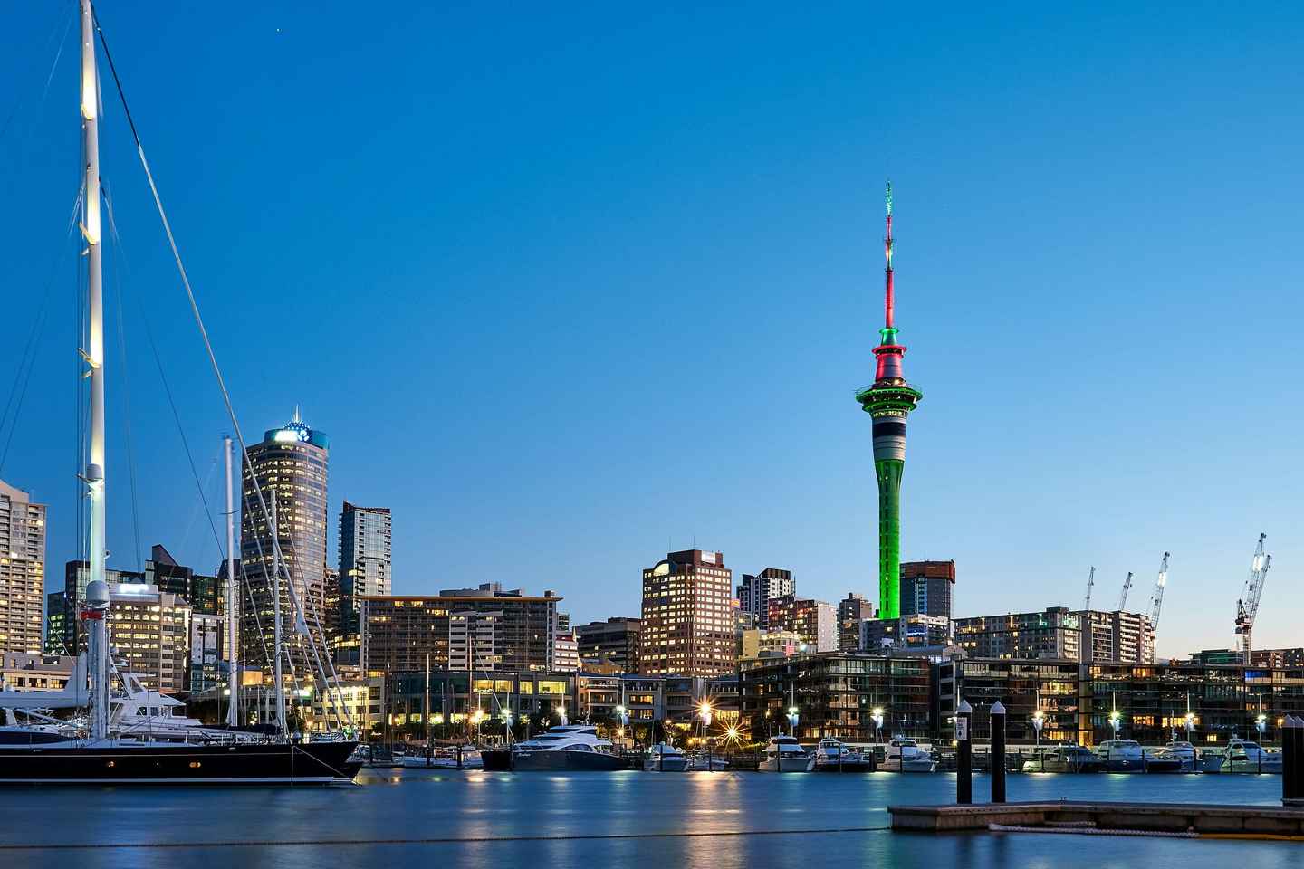 FLEXI START: Best of Auckland - City Highlights Tour 2 hrs - FLEXI START: Best of Auckland - City Highlights Tour 2 hrs