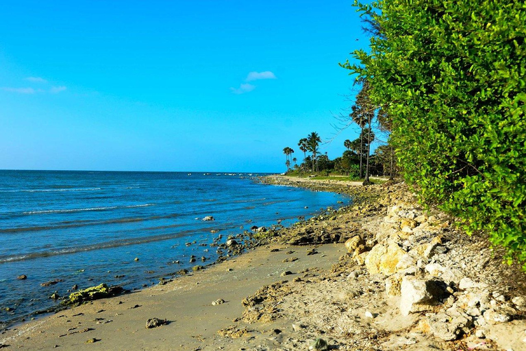 Sri Lanka: 12-tägige Tour mit Entdeckung des reichen Erbes