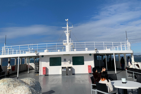 Naoshima Island Cycling Adventure: Private Local Tour