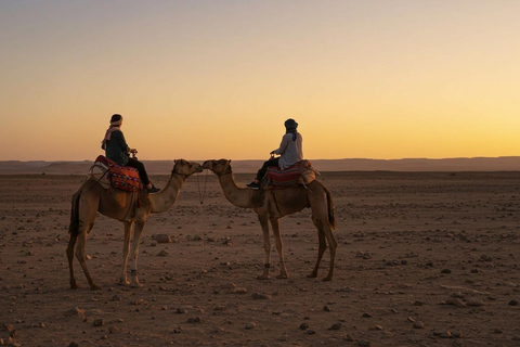 Marrakech: Agafay Wüste Quad &amp; Kamelreiten mit Dinner ShowMarrakesch: Quad- und Kamelritt in der Agafay-Wüste mit Dinner-Show