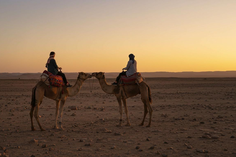 Marrakech: Agafay Wüste Quad &amp; Kamelreiten mit Dinner ShowMarrakesch: Quad- und Kamelritt in der Agafay-Wüste mit Dinner-Show