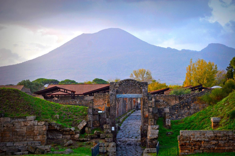 Pompei: Biglietto di ingresso prioritario + audioguida