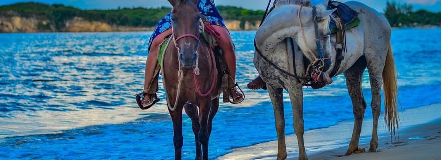 Punta Cana : Visite guidée à cheval des plages et de la campagne