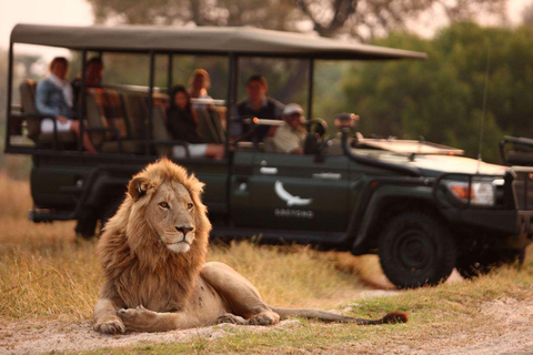 Demi-journée dans la réserve de chasse de Tala et le parc des lions du Natal au départ de Durban