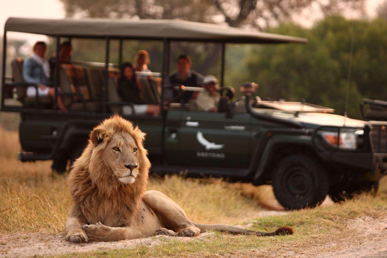 Demi-journée dans la réserve de chasse de Tala et le parc des lions du Natal au départ de Durban