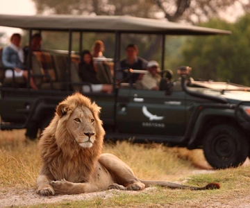 1/2 Day Hluhluwe Imfolozi Big 5 Tour from Richards Bay