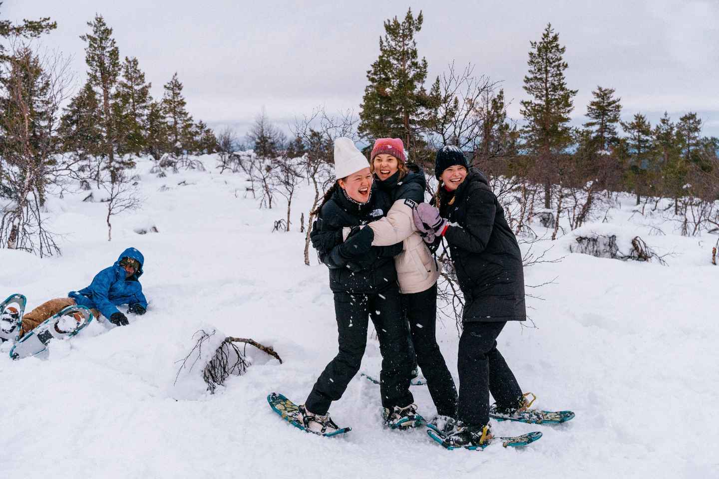 Saariselkä: Snowshoes adventure on the snowy fells