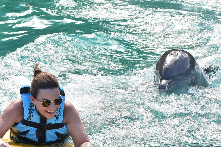 Dunn’s River Falls and Dolphin Cove Swim Adventure From Montego Bay/ Falmouth/ Trelawny