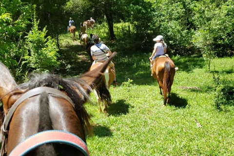 Estancia Las Mercedes Day Trip with Lunch & Transfers