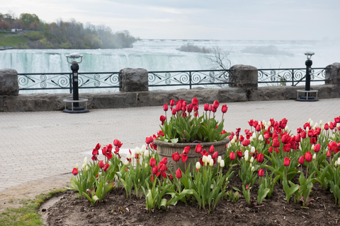 Mississauga: Niagara Falls Tour with Free Time