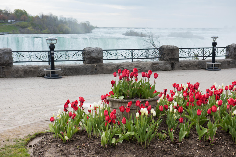 Mississauga: Niagara Falls Tour with Free Time