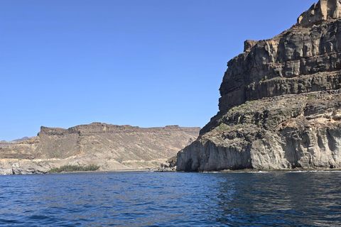 Puerto de Mogán: yacht privato per un massimo di 10 persone