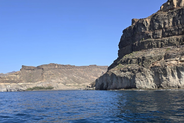 Puerto de Mogán: yacht privato per un massimo di 10 persone