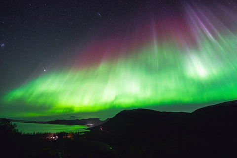 Abisko: Snöskovandring med norrsken och middag